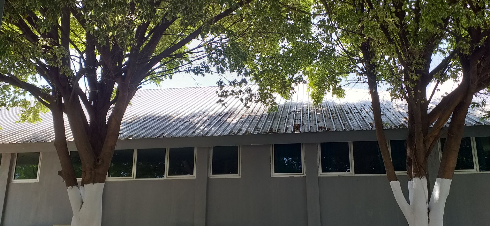 Prinsípiu Fenómenu Susesóriu