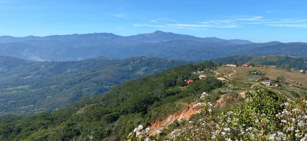 Caracterização dos Tipos Legais de Sociedades Comerciais