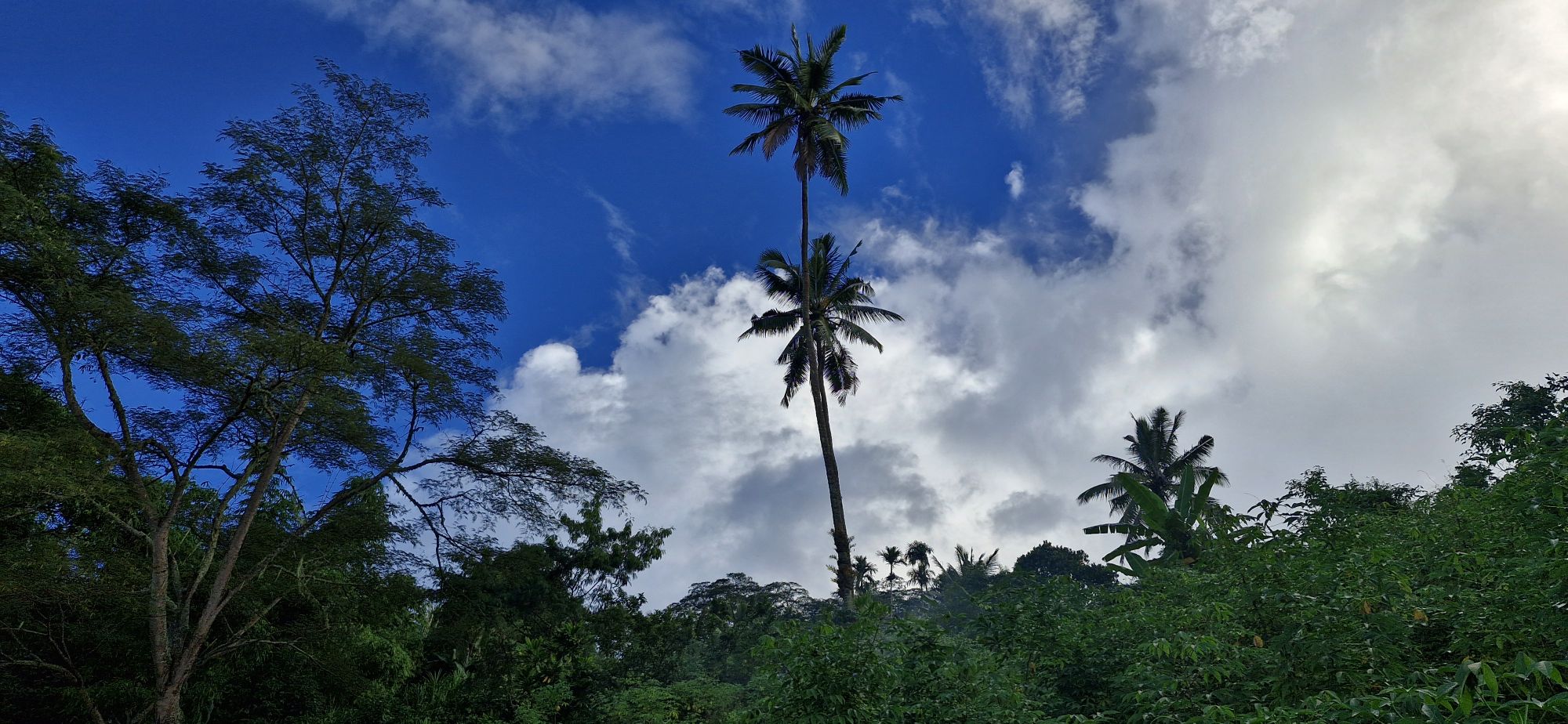 Classificações dos direitos de personalidade